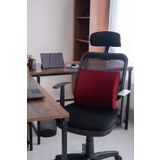 Viscomina Visco Bel Minderi Visco Sırt Minderi Dik Duruş Minderi Visco Yastık Ortopedik Bel Minderi Bordo