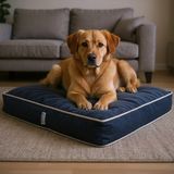 Viscopet Lüks Visko 10CM Blok Süngerli 100% Sıvı Geçirmez Alezli Fermuarlı Yıkanabilir Köpek Yatağı - 2XL - Şönil Mavi