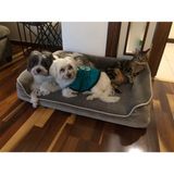 Viscopet Premium Sofa Blok Visko Sungerli Alezli Fermuarlı Yıkanabilir Köpek Yatağı S-gri/vizon - Vizon - Açık Kahve - 70 x 95 cm