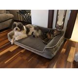 Viscopet Premium Sofa Blok Visko Sungerli Alezli Fermuarlı Yıkanabilir Köpek Yatağı S-Vizon - Vizon - Açık Kahve - 60 x 75 cm