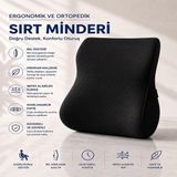 Vıscora Ortopedik Visco Bel ve Sırt Destek Minderi – Ofis Koltuğu, Araç ve Ev Için Ergonomik - Çok Renkli