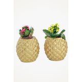 Viselia Büyük Dekoratif Saksı Altın Çiçek Saksısı 2 Adet 1 Boy Ananas Model