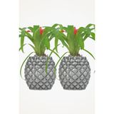 Viselia Büyük Dekoratif Saksı Çiçek Saksısı 2 Adet 1 Boy Ananas - Gri