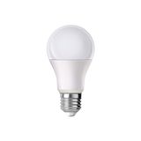 Visio 12 Watt LED 24 Volt Ac-Dc Ampul ( Kullanılan Alanlar Açıklamakısımında)