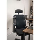 Visko Bel ve Sırt Minderi Araç Ofis Koltuk Sırt Destekleyici Minder Yastık Ortopedik 10x43 cm Siyah Oto Bel Yastığı