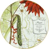 Vista Alegre Amozonia Yeşil Desenli Porselen Supla 33,6cm - Standart