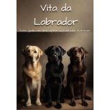 Vita da Labrador: Tutto quello che devi sapere sui Labrador Retriever
