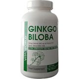 Vita World Ginkgo Bıloba 500 Mg + B12 180 Tb