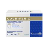 Vitafenix Cognifenix Fosfatidilserin Sitikolin 40 Kapsül