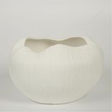 Vitale Beyaz Meyvelik 25*28*16 Cm Ak.jm00005 Renksiz