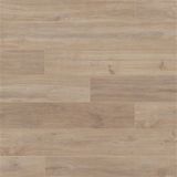 Vitale VTLP.5966 1 m2 Modera Sarı Kavak 8 mm Derzli Laminat Parke