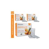 VITALHOT Bromelain Hindiba Ananas Karnıyarık Otu Çiya Tohumu L-Carnitine Doğal Bitki Çayı 42 Kullanımlık