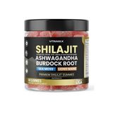 Vitamax Shilajit Sourced Sea Moss + Lion's mane Watermelon 60 Gummies