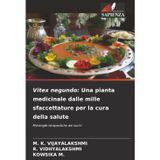 Vitex negundo: Una pianta medicinale dalle mille sfaccettature per la cura della salute