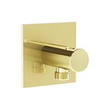 VitrA A4283274 Suit Soft Altın Ankastre El Duşu Çıkışı