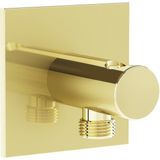 VitrA A4283274 Suit Soft Altın Ankastre El Duşu Çıkışı