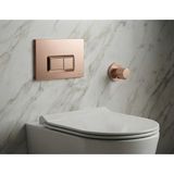 VitrA Rose Gold Kumanda Paneli ve Stop Valf