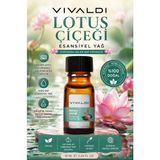 Vivaldi Home Lotus Uçucu Yağ Oda Kokusu Stresi Azaltıcı 10 ml Doğal Aromaterapi Yağı - Standart