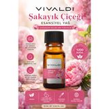 Vivaldi Home Şakayık Çiçeği Aromaterapi Esansiyel Yağ – Doğal ve Zarif Aroma - Standart