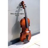 Vivaldi Tam Boy 4/4 Öğrenci Kemanı Tam Set Eşik Ayarlı (Kutu, yay reçine dahil)