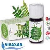 Vıvasan Hınt Tutsusu (Hınt Sıgla) Yagı 10 ml