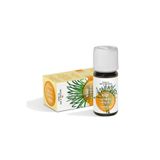 Vivasan Limonlu Melisa Yağı 10 ml