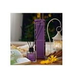 Vivense Dfn Home Lorient Elizabeth Çubuklu Oda Kokusu 100 Ml