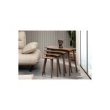 Vivense SALSA ZİGON SEHPA, DÖRTLÜ, CEVİZ