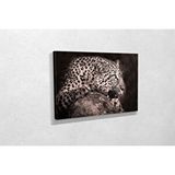 Vivense Tablo360 Leopar Kanvas Tablo 70x105