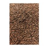 Vivid Aspur 1 kg