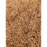 Vivid Aspur Sade Kanarya Yemi 1 KG Çuvaldan Bölme