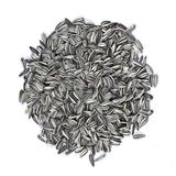 Vivid Bird-Çizgili Küçük Alaca Çekirdek Papağan Yemi 1 Kg