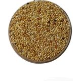 Vivid Bird Karışık Kuş Yemi 500GR