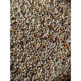 Vivid Bird Muhabbet Kuşu YEMI1000 gr