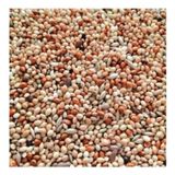 Vivid Bird Muhabbet Yemi 1 kg