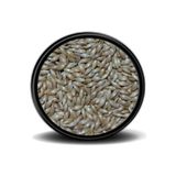 Vivid Bird Vivid Sade Kanarya Yemi Aspur 500 gr