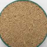 Vivid Kanarya Kuş Yemi Sade Aspur 10 KG