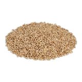 Vivid Kanarya Yemi (Aspur) 1 kg Sade İçerik ile Kuşlar İçin İdeal Besin