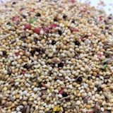 Vivid Muhabbet Kusu Yemı 1Kg