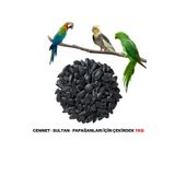 Vivid Papağan Yemi Siyah Çekirdek 1000 gr