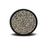 Vivid Sade Kanarya Yemi (Aspur) 250gr
