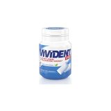 Vivident Yeşil Nane Aromalı Sakız 67 gr Şişe x 12