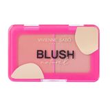 Vivienne Sabo Blush Palette 01 Soft Rose Silky Texture Natural Radiant Finish Naturel Allık