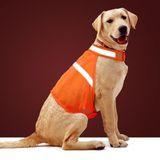 Vizbrite Köpek Ceketi Yüksek Görünürlüklü Güvenlik Yansıtıcı Köpek Yeleği Küçük Orta Büyük Köpekler için (Large, Turuncu)