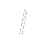 VİZYONN 3 Metre Tek Parça Aluminyum Merdiven