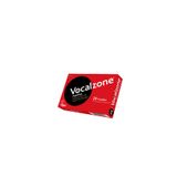 Vocalzone Pastil Nane Mentol Aromalı 24 Adet