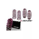 Vogtland Bmw E90 Spor Helezon Yayı 40-25mm