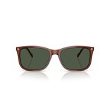 Vogue Eyewear Erkek Vo5618s Kare Güneş Gözlüğü, Şeffaf Kahverengi/Koyu Yeşil Polarize, 57 mm