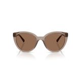 Vogue Eyewear Kadın Vo5634sb Kedi Gözü Güneş Gözlüğü, Şeffaf Kahverengi/Koyu Kahverengi, 53 mm