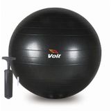 Voit 55 cm Siyah Gymball